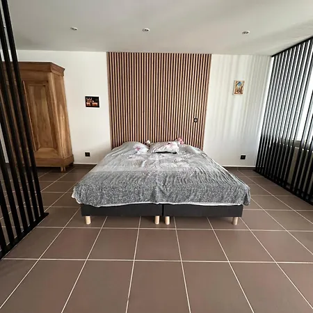Loft De La Louve * Villeveyrac