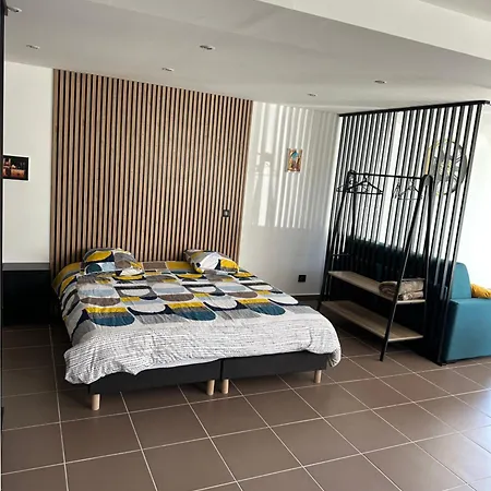 Loft De La Louve Apartment Villeveyrac