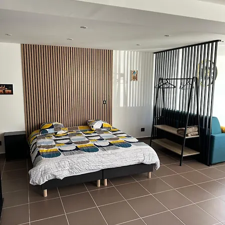 Loft De La Louve Apartment